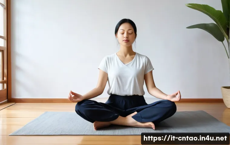 도교란 관련 이미지 1