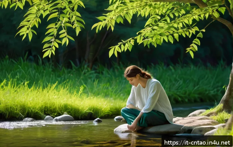 도교 의식과 제사 - A serene outdoor scene depicting a person practicing silent contemplation by a gentle stream in the ...